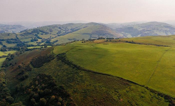 Maldwyn